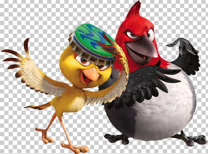 Blu Film Actor Rio Musician PNG, Clipart, Actor, Anne Hathaway, Beak, Bird, Blu Free PNG Download