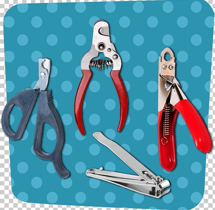 Cat Kitten Nail Clippers Scissors Dog PNG, Clipart, Animals, Blue, Cat, Digit, Dog Free PNG Download