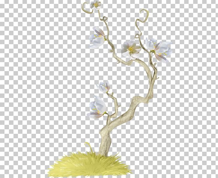 Flower Photography Transvaal Daisy PNG, Clipart, Arama, Blog, Blossom, Branch, Cari Free PNG Download