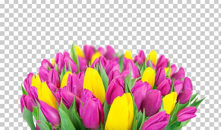Indira Gandhi Memorial Tulip Garden High-definition Television Flower PNG, Clipart, 108, Bouquet Of Flowers, Flower, Flower Arrangement, Flowers Free PNG Download