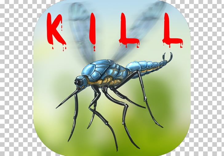 Mosquito Household Insect Repellents Weevil Google Drive PNG, Clipart, Anti, Arthropod, Beetle, Effect, Fly Free PNG Download