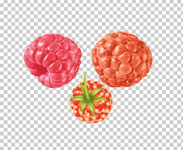 Red Raspberry Frutti Di Bosco Fruit PNG, Clipart, Apple Fruit, Auglis, Berry, Bosco, Download Free PNG Download