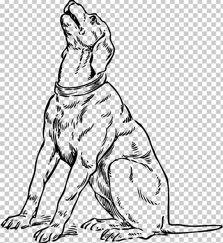 Dachshund Basset Hound Beagle Maltese Dog Clumber Spaniel PNG, Clipart, Artwork, Bark, Basset Hound, Beagle, Carnivoran Free PNG Download