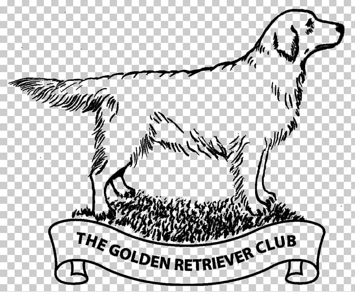 Dog Breed Golden Retriever Sporting Group Labrador Retriever PNG, Clipart, Animals, Artwork, Black And White, Breed, Carnivoran Free PNG Download