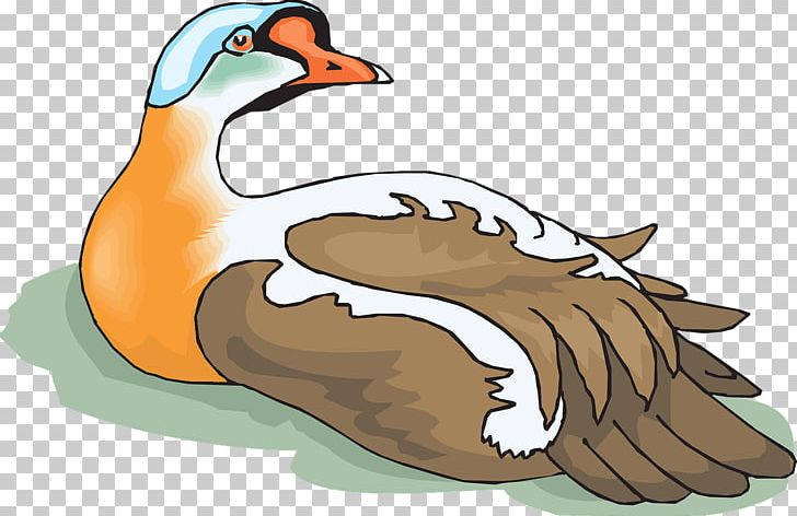 Greylag Goose Bird Duck PNG, Clipart, Animal, Animals, Beak, Bird, Color Free PNG Download