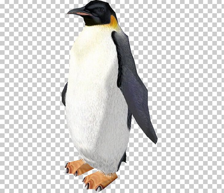 King Penguin Zoo Tycoon 2 Video Game PNG, Clipart, Animal Figure, Animals, Beak, Bird, Computer Free PNG Download