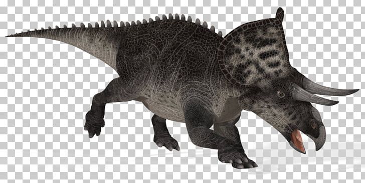 Zuniceratops Triceratops Late Cretaceous Horned Dinosaurs PNG, Clipart, Animal Figure, Chasmosaurus, Cretaceous, Dinosaur, Dinosaur Revolution Free PNG Download