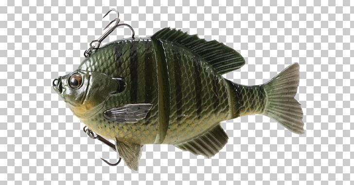 Fishing Baits & Lures Topwater Fishing Lure Swimbait PNG, Clipart, Angling, Animals, Bait, Bass, Bass Fishing Free PNG Download