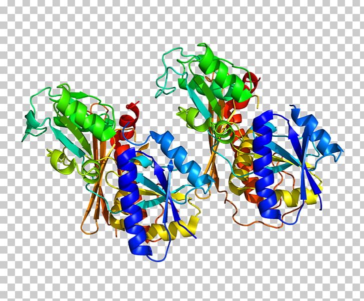 Porphobilinogen Deaminase Deamination Hydroxymethylbilane Enzyme PNG, Clipart, Ammonia, Conserved Sequence, Deamination, Ecr, Encyclopedia Free PNG Download