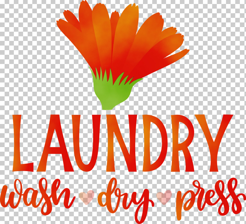 Cut Flowers Petal Logo Flower 0jc PNG, Clipart, Biology, Cut Flowers, Dry, Flower, Laundry Free PNG Download