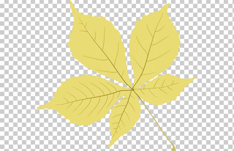 Plant Stem Leaf Twig Tree Maple Leaf / M PNG, Clipart, Biology, Leaf, Maple Leaf M, Meter, Plant Free PNG Download