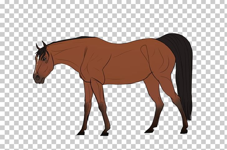 Mule Foal Stallion Mare Colt PNG, Clipart, Bridle, Colt, Foal, Halter, Horse Free PNG Download