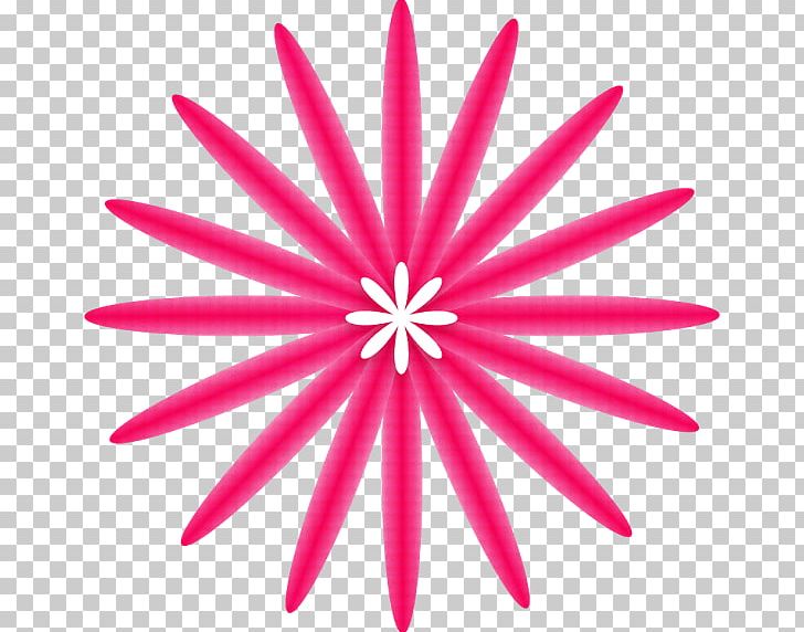 Petal Pink M Line Symmetry Cut Flowers PNG, Clipart, Art, Cut Flowers, Flower, Line, Magenta Free PNG Download