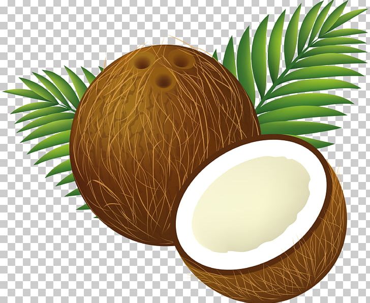 Coconut Water Coconut Milk PNG, Clipart, Arecaceae, Clip Art, Coconut, Coconut Milk, Coconut Water Free PNG Download
