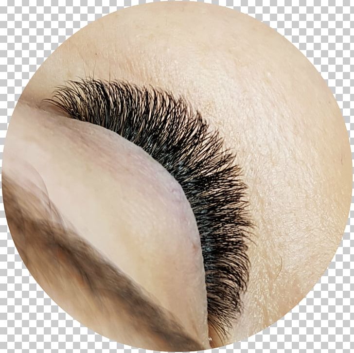 Eyelash Extensions Close-up Artificial Hair Integrations PNG, Clipart, Artificial Hair Integrations, Brush, Closeup, Close Up, Eye Free PNG Download