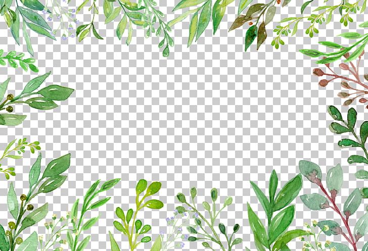 Green Plant Euclidean Vecteur PNG, Clipart, Border, Border Frame, Branch, Certificate Border, Designer Free PNG Download