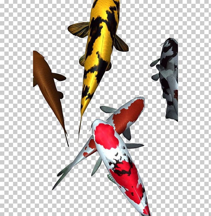 Koi Violence Weapon Riot Fish PNG, Clipart, Fish, Koi, Organism, Riot, Violence Free PNG Download