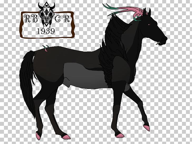 Mustang Foal Stallion Mare Colt PNG, Clipart, Equestrian, Fictional Character, Foal, Halter, Horse Free PNG Download
