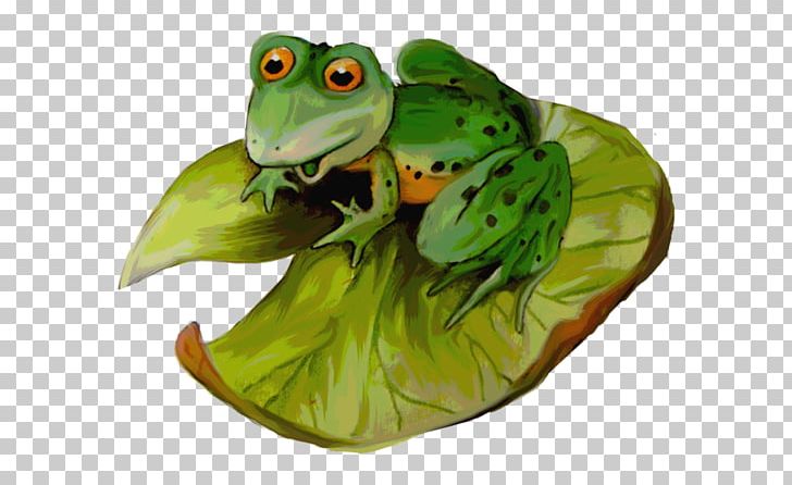 Tree Frog True Frog Amphibians PNG, Clipart, Amphibian, Amphibians, Arama, Author, Cari Free PNG Download