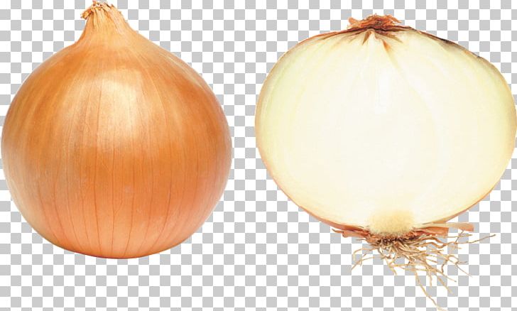 White Onion Red Onion Vegetable PNG, Clipart, Allium, Calabaza, Computer Icons, Cosa, Encapsulated Postscript Free PNG Download