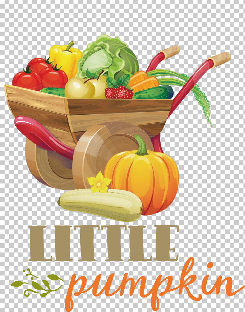 Little Pumpkin Thanksgiving Autumn PNG, Clipart, Autumn, Cooking, Courgette, Field Pumpkin, Fresh Vegetable Free PNG Download