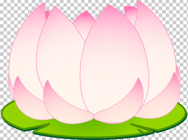 Lotus Flower PNG, Clipart, Composition, Flower, French Hydrangea, Japanese Morning Glory, Lotus Flower Free PNG Download