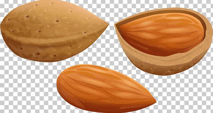 Almond Oil Praline Nut Food PNG, Clipart, Almond, Almond Oil, Art, Food, Free Png Image Free PNG Download