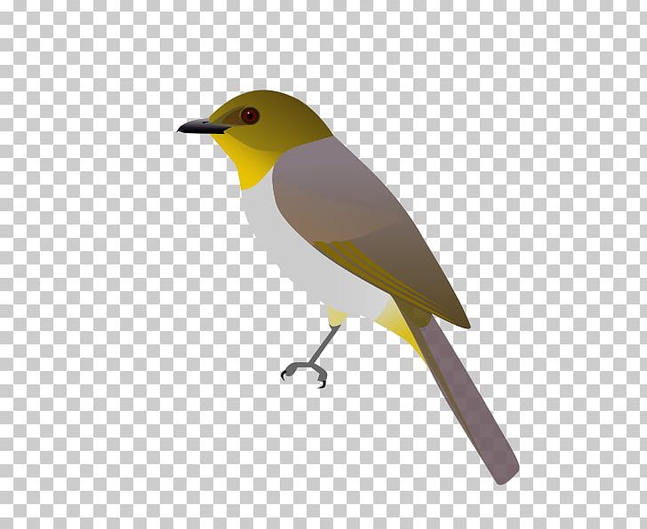 Computer File Scalable Graphics Pixel Thumbnail Portable Network Graphics PNG, Clipart, Beak, Bird, Display Resolution, Fauna, File Size Free PNG Download