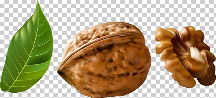 Walnut Euclidean Hazelnut PNG, Clipart, Commodity, Encapsulated Postscript, Food, Fruit Nut, Ingredient Free PNG Download