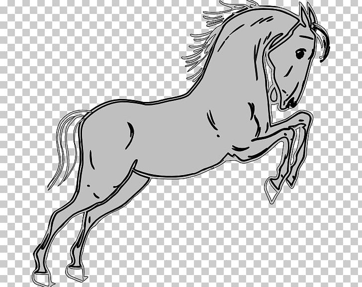 Horse Show Jumping PNG, Clipart, Collection, Fictional Character, Head, Horse, Horse Supplies Free PNG Download