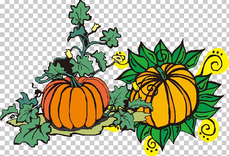 Pumpkin Calabaza Gourd PNG, Clipart, Draw, Drawing Vector, Flower, Food, Fruit Free PNG Download