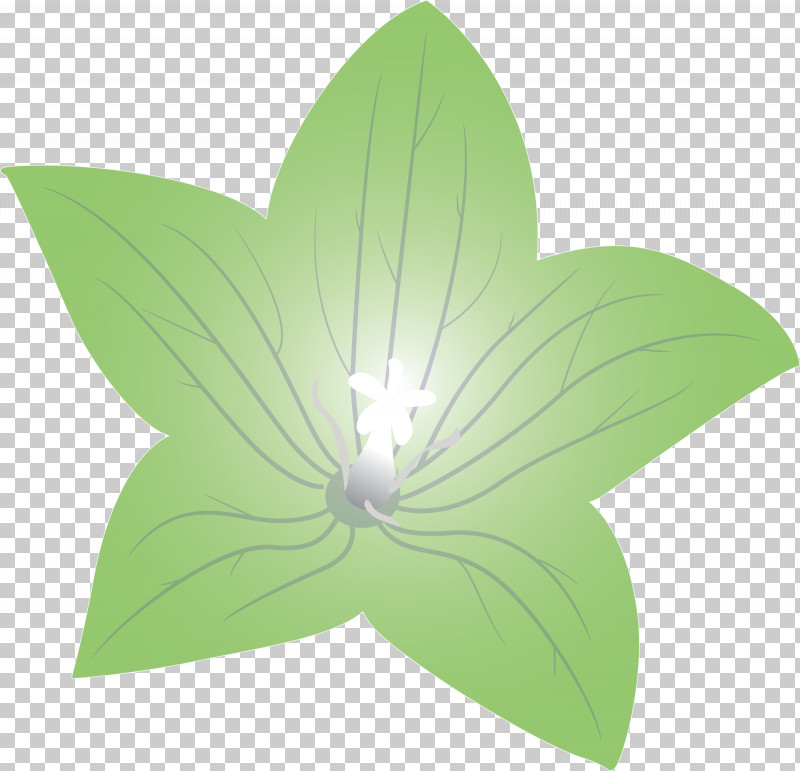 Balloon Flower PNG, Clipart, Balloon Flower, Biology, Flora, Flower, Geometry Free PNG Download