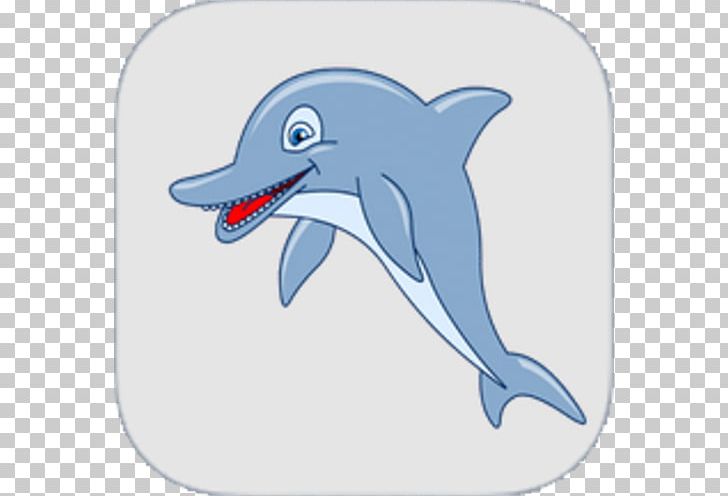 Common Bottlenose Dolphin Tucuxi Short-beaked Common Dolphin Rough-toothed Dolphin Wholphin PNG, Clipart, Beak, Biology, Bottlenose Dolphin, Cartoon, Fauna Free PNG Download