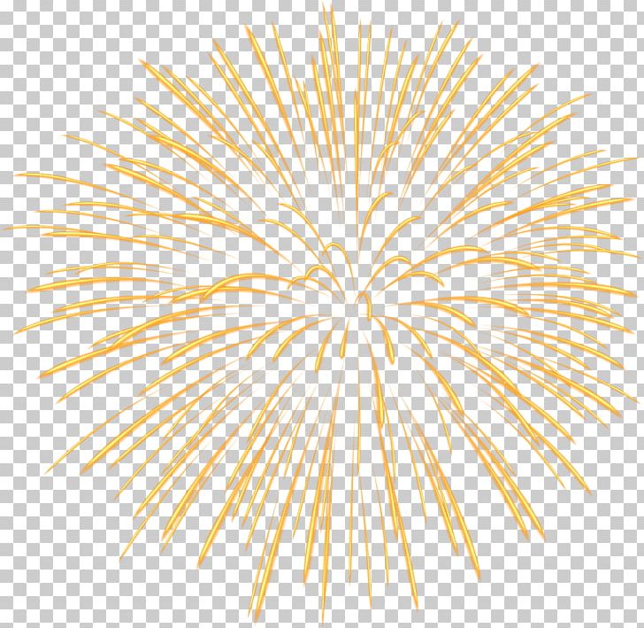 Fireworks PNG, Clipart, Animation, Art Museum, Circle, Clip Art, Download Free PNG Download