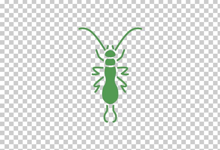 Insect Pest Control Earwig Garden PNG, Clipart, Animals, Butterfly, Cartoon, Earwig, Fictional Character Free PNG Download