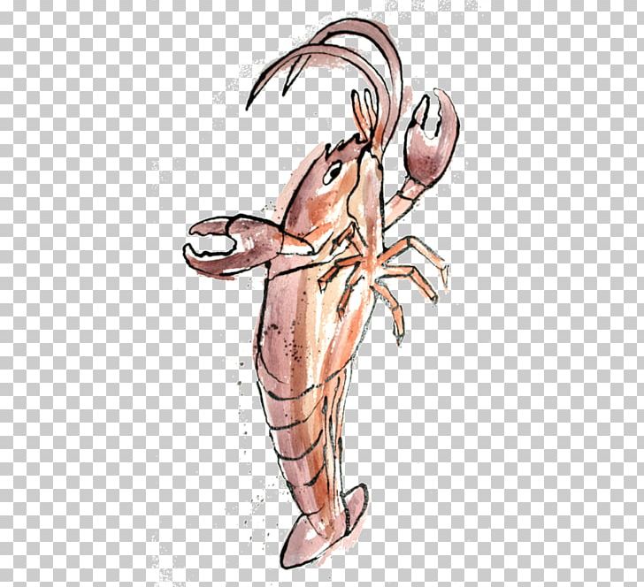 Decapoda Muscle Cartoon PNG, Clipart, Cartoon, Decapoda, Invertebrate, Joint, Muscle Free PNG Download