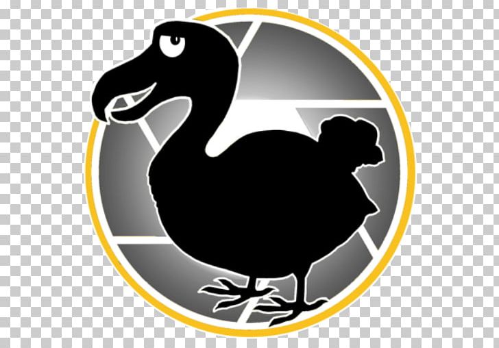 Photography Photographer St. Louis Silhouette Duck PNG, Clipart, Beak, Bird, Computer, Duck, Ducks Geese And Swans Free PNG Download