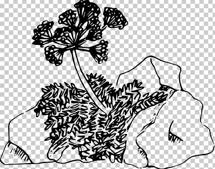 Plant Drawing Line Art PNG, Clipart, Area, Art, Artwork, Black, Black And White Free PNG Download