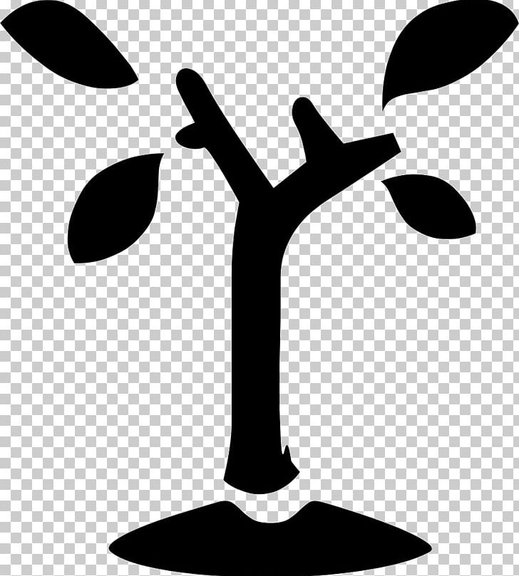 Tree Computer Icons PNG, Clipart, Arecaceae, Artwork, Black And White, Cdr, Computer Icons Free PNG Download