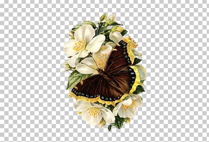 Best Borders Flower PNG, Clipart, Art, Artificial Flower, Flower, Flower Arranging, Google Images Free PNG Download