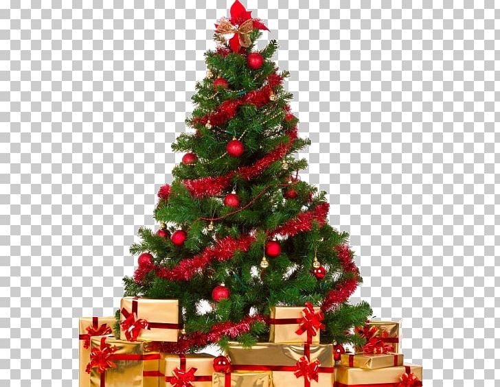 Christmas Tree Christmas Decoration Garland Gift PNG, Clipart, Christmas, Christmas Carol, Christmas Decoration, Christmas Dinner, Christmas Eve Free PNG Download