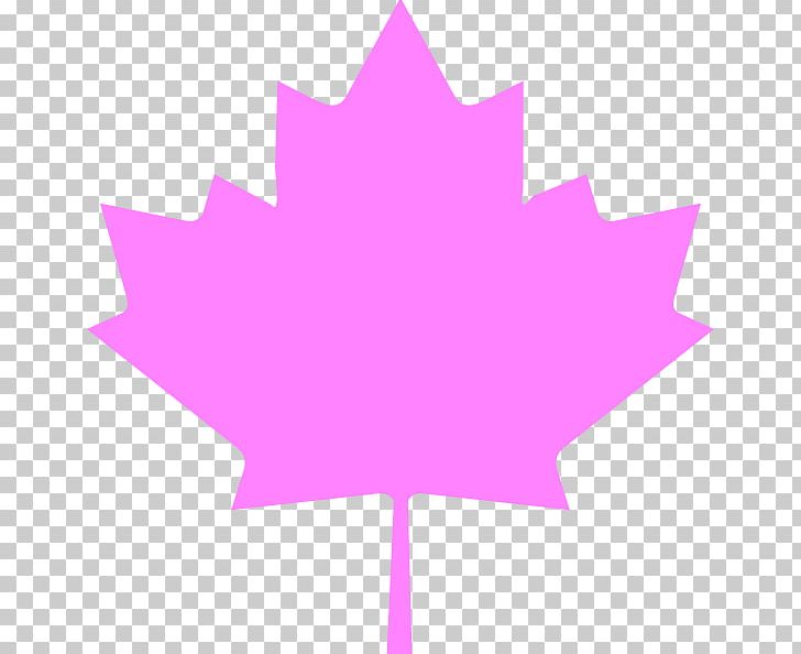 Flag Of Canada Flag Of Quebec Maple Leaf PNG, Clipart, Canada, Computer Icons, Flag, Flag Of Canada, Flag Of Quebec Free PNG Download
