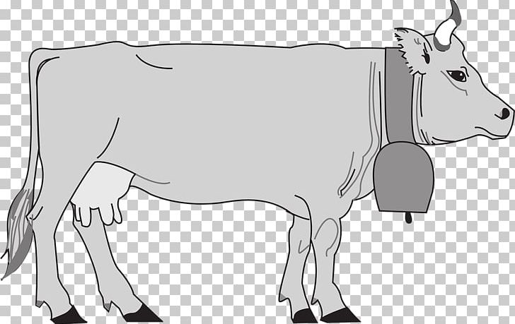 Murray Grey Cattle Hungarian Grey Dairy Cattle PNG, Clipart, Animal Figure, Artwork, Black And White, Bull, Calf Free PNG Download