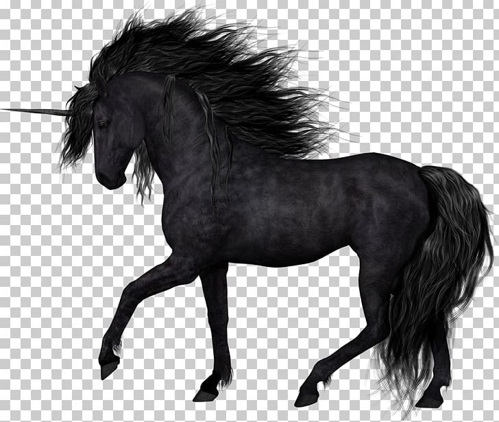 Stallion Black Mustang PNG, Clipart, Atlar, At Resimleri, Black, Black And White, Black Horse Free PNG Download