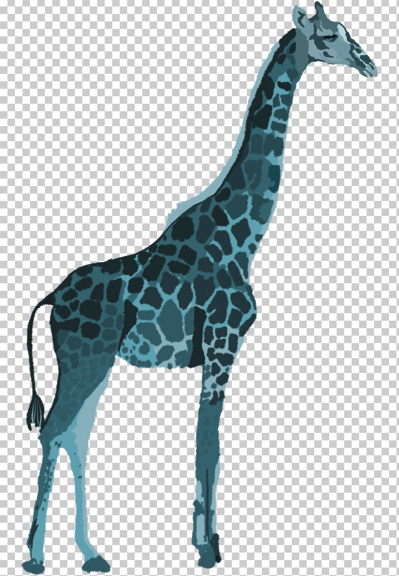 Giraffe Giraffidae Animal Figure Wildlife Snout PNG, Clipart, Animal Figure, Giraffe, Giraffidae, Neck, Snout Free PNG Download