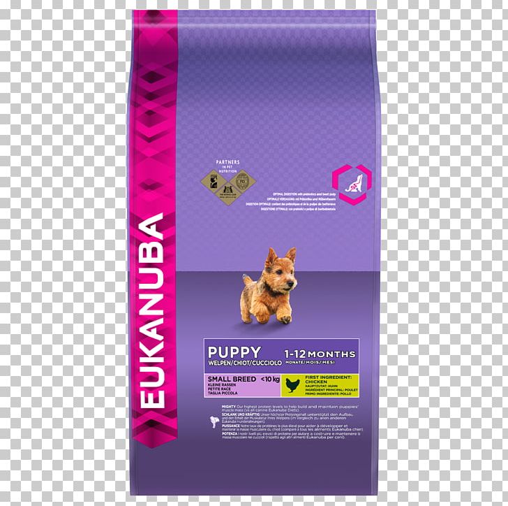 Your Puppy Eukanuba Dog Food Dog Breed PNG, Clipart, Animals, Dog, Dog Breed, Dog Food, Dog Supplies Free PNG Download