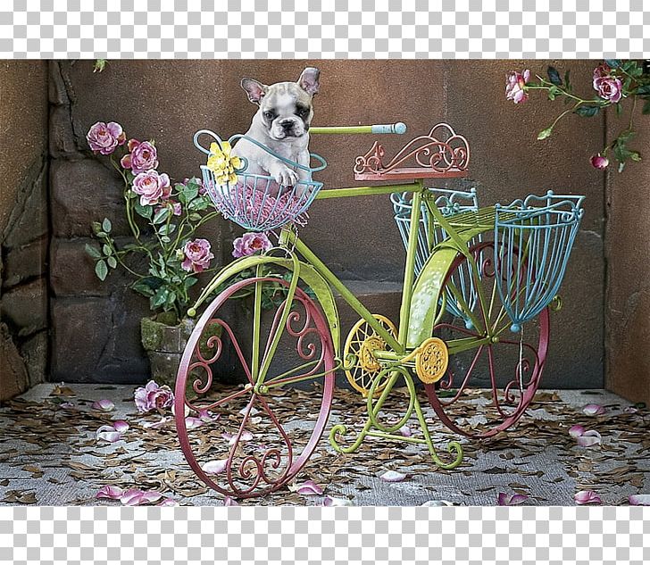 French Bulldog Jigsaw Puzzles Educa Borràs Game PNG, Clipart, Bicycle Accessory, Bulldog, Dog, Easy Rider, Flora Free PNG Download