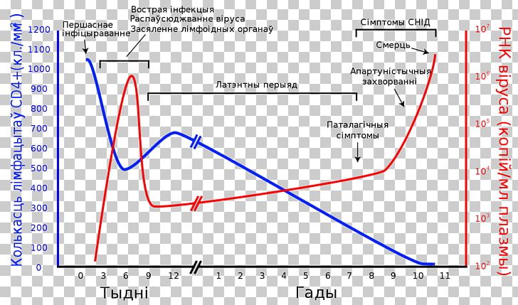 HIV/AIDS CD4 T Helper Cell Infection PNG, Clipart, Angle, Area, Cd4, Common, Copy Free PNG Download