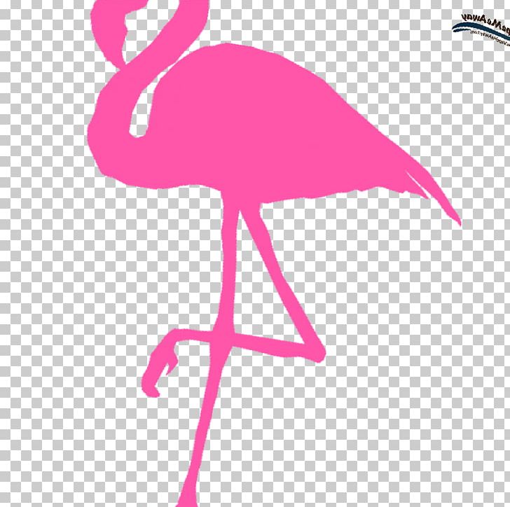 Water Bird Flamingo Vertebrate Pink PNG, Clipart, Animal, Animals, Beak, Bird, Flamingo Free PNG Download