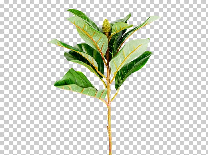 Artificial Flower Bud Leaf Magnolia PNG, Clipart, Arrangement, Artificial Flower, Branch, Buckle, Bud Free PNG Download